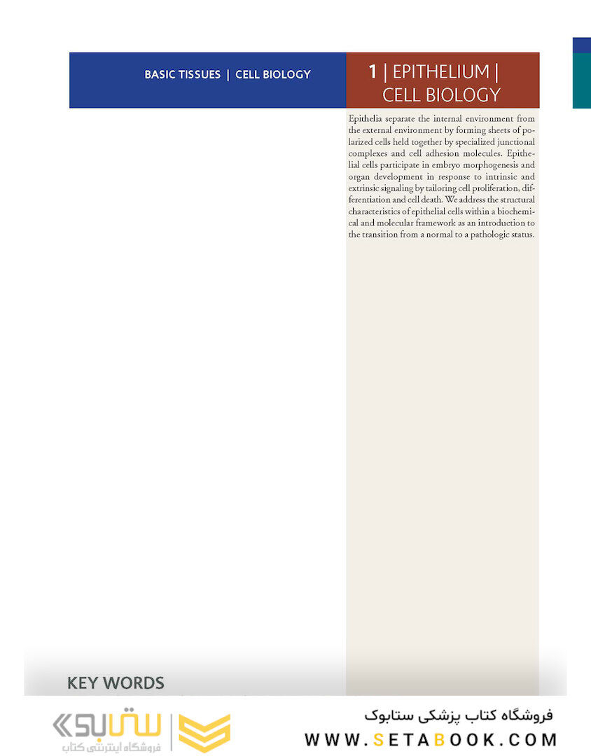 Histology and Cell Biology: An Introduction to Pathology 5th Edition 2020