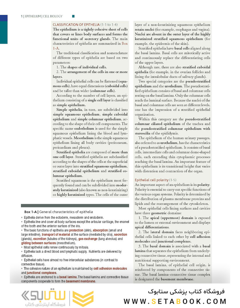 Histology and Cell Biology: An Introduction to Pathology 5th Edition 2020