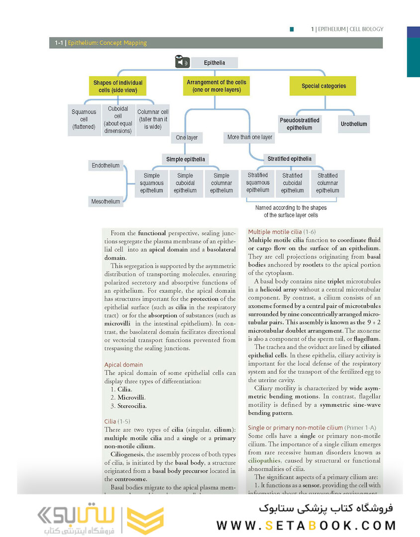 Histology and Cell Biology: An Introduction to Pathology 5th Edition 2020