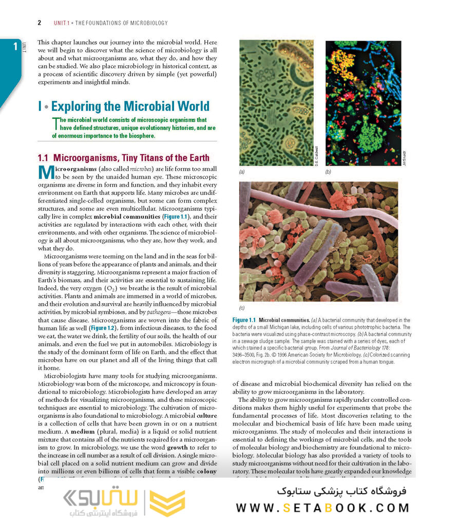 Brock Biology of Microorganisms