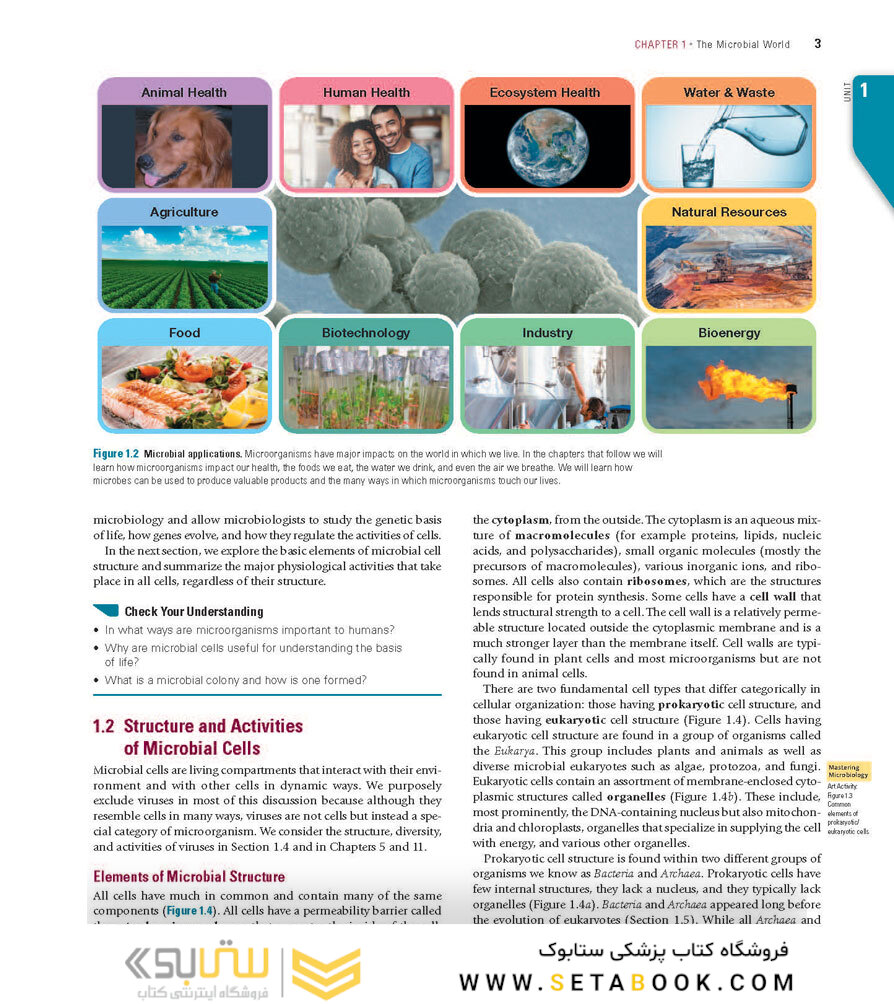 Brock Biology of Microorganisms