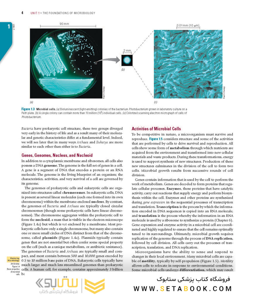 Brock Biology of Microorganisms