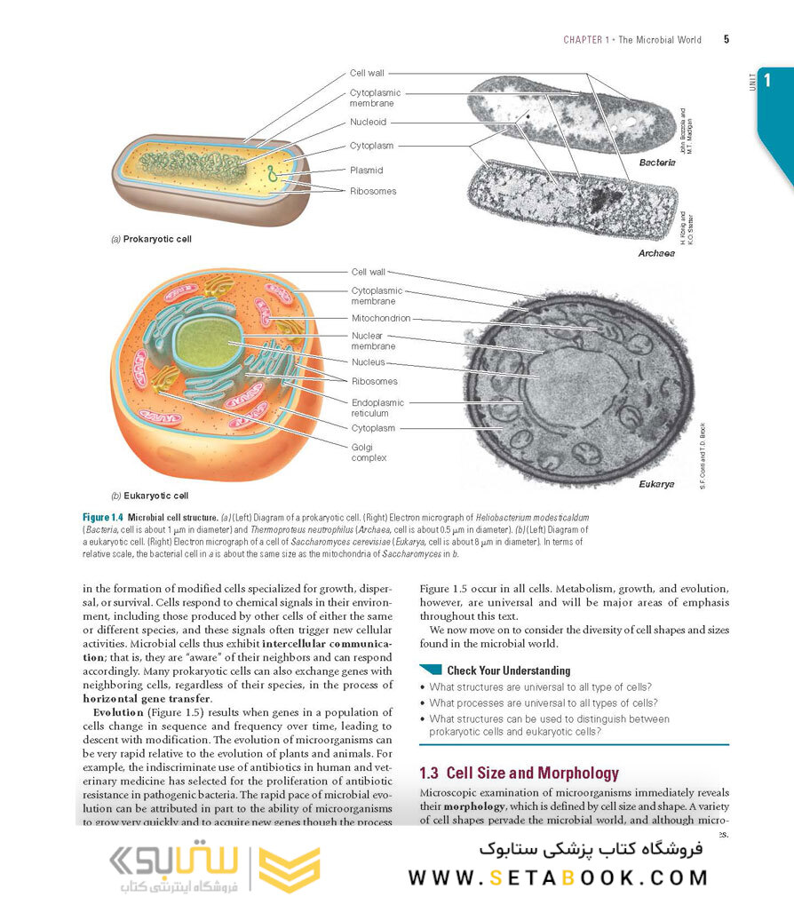 Brock Biology of Microorganisms