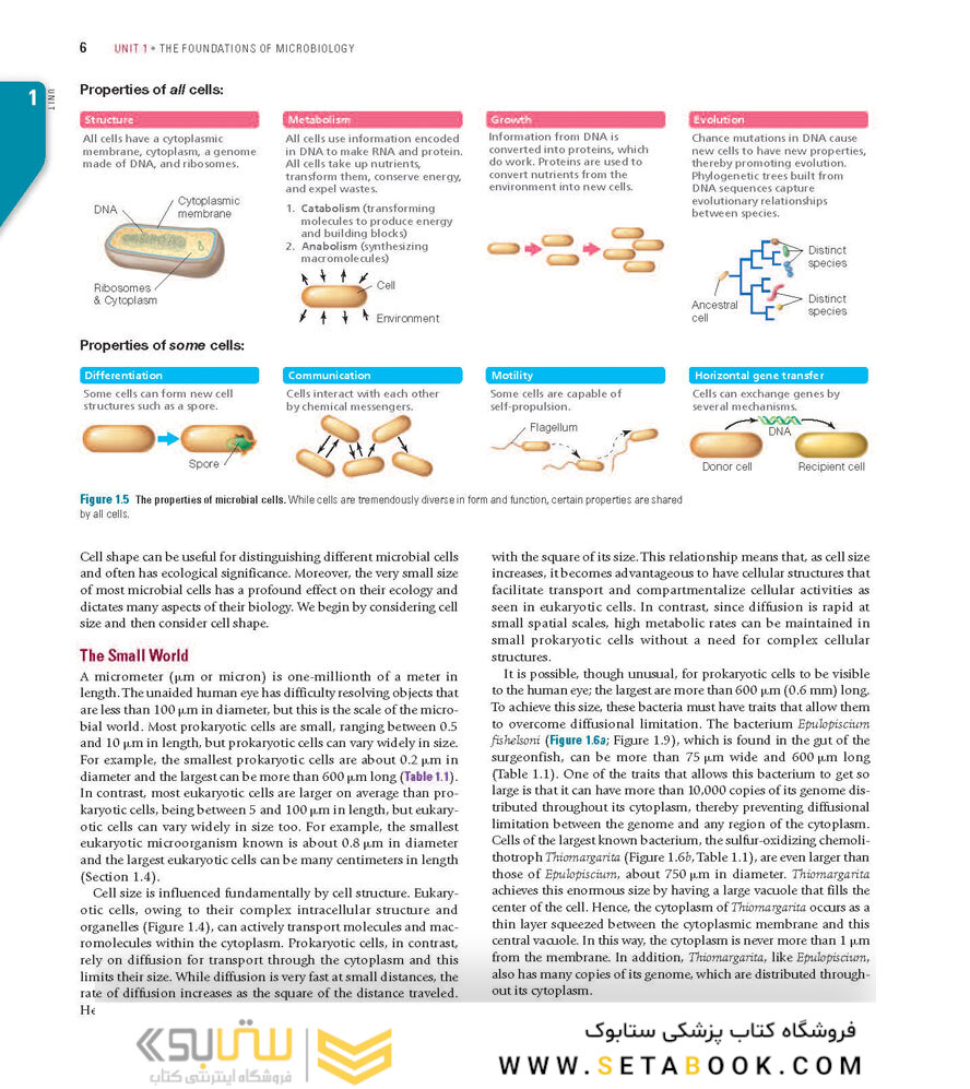 Brock Biology of Microorganisms