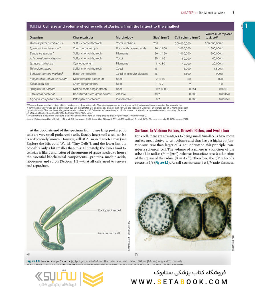Brock Biology of Microorganisms