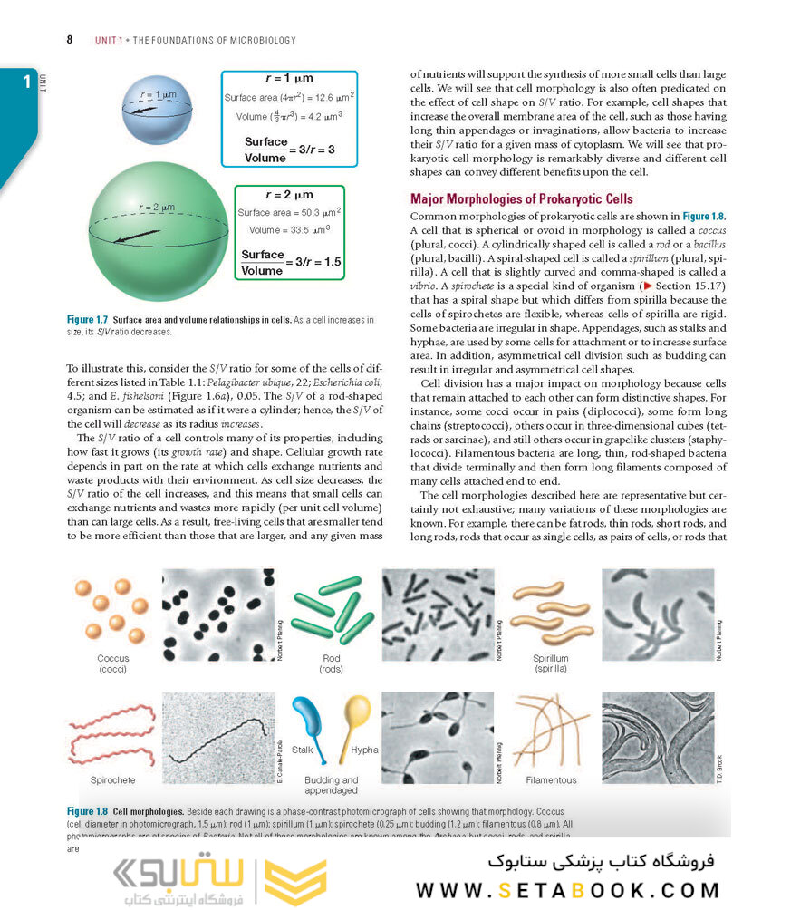 Brock Biology of Microorganisms