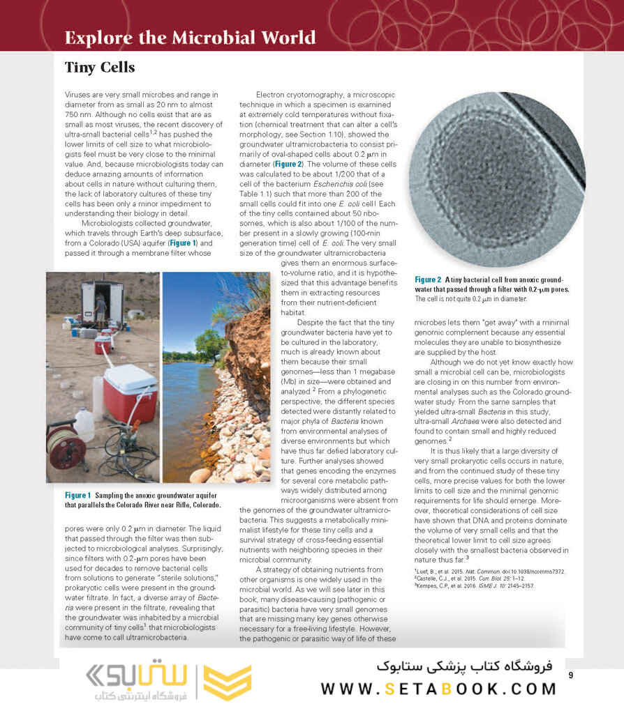 Brock Biology of Microorganisms