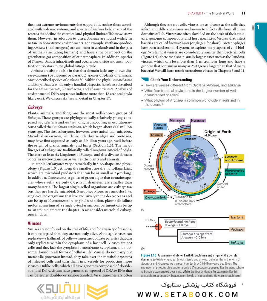 Brock Biology of Microorganisms