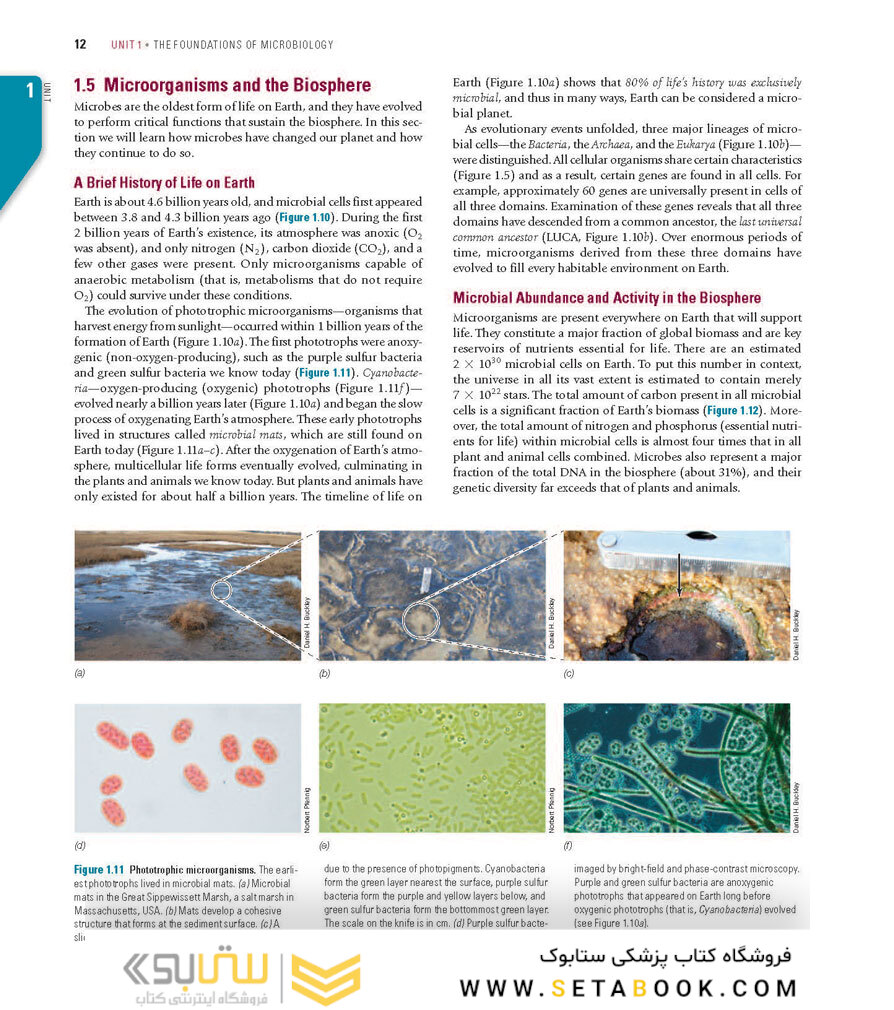 Brock Biology of Microorganisms