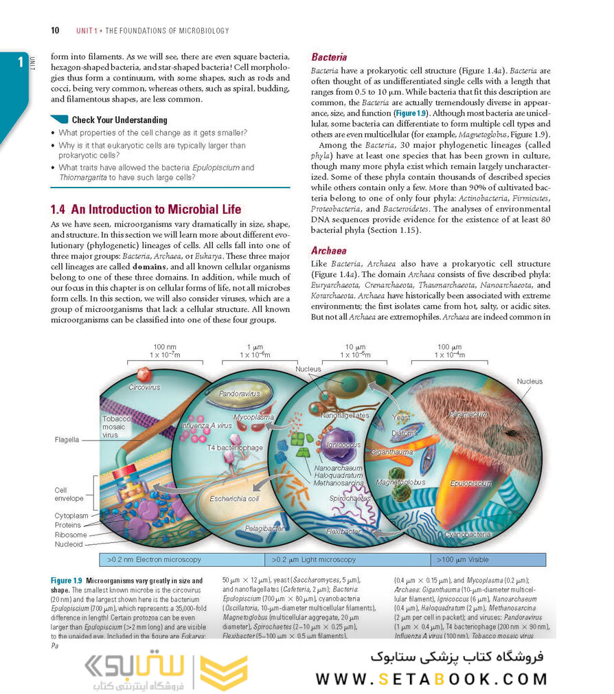 Brock Biology of Microorganisms