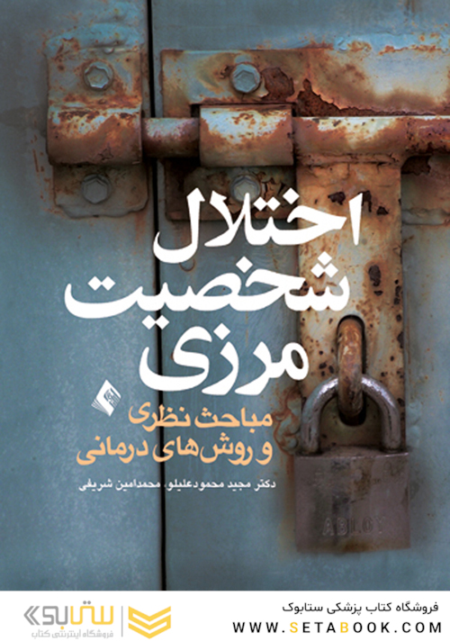 اختلال شخصیت مرزی مباحث نظری و روش های درمانی