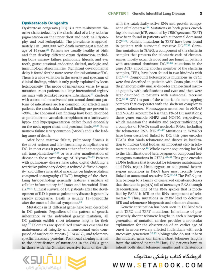 Interstitial Lung Disease