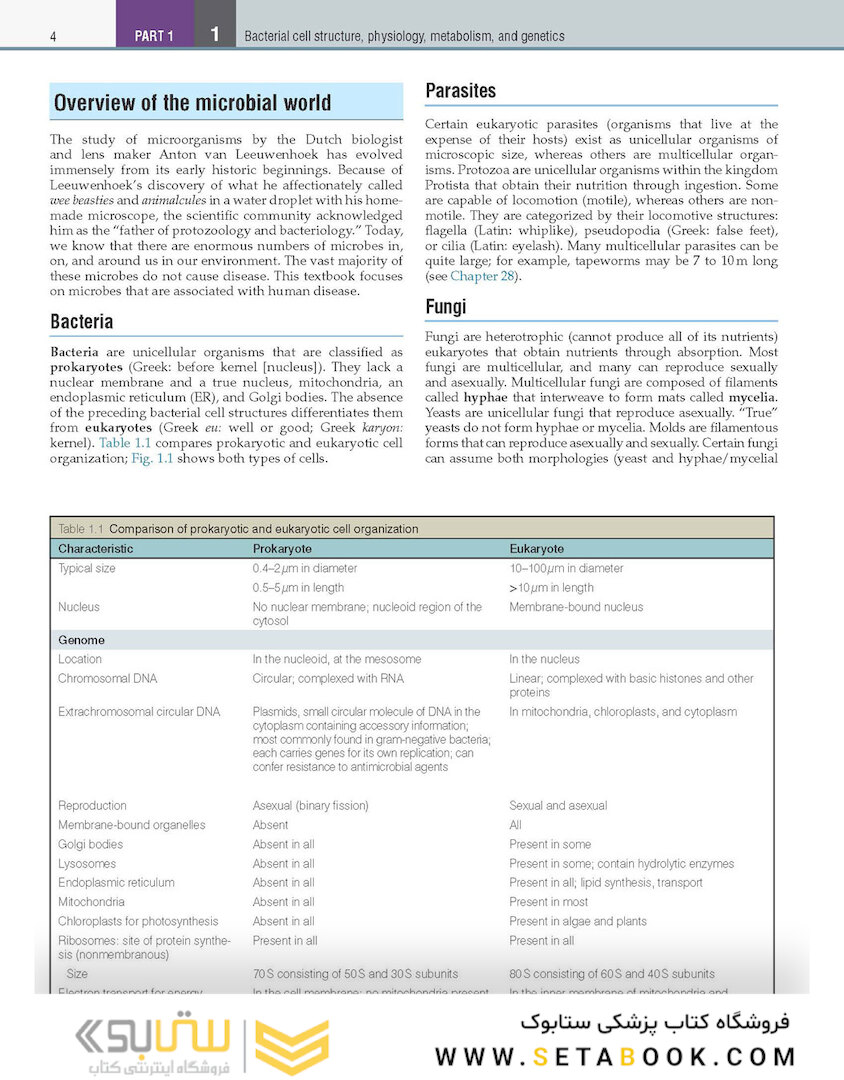 Textbook of Diagnostic Microbiology 7th Edition