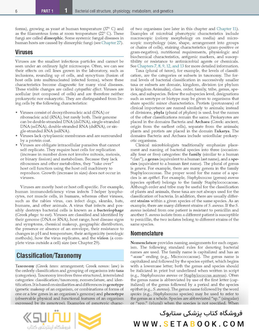 Textbook of Diagnostic Microbiology 7th Edition