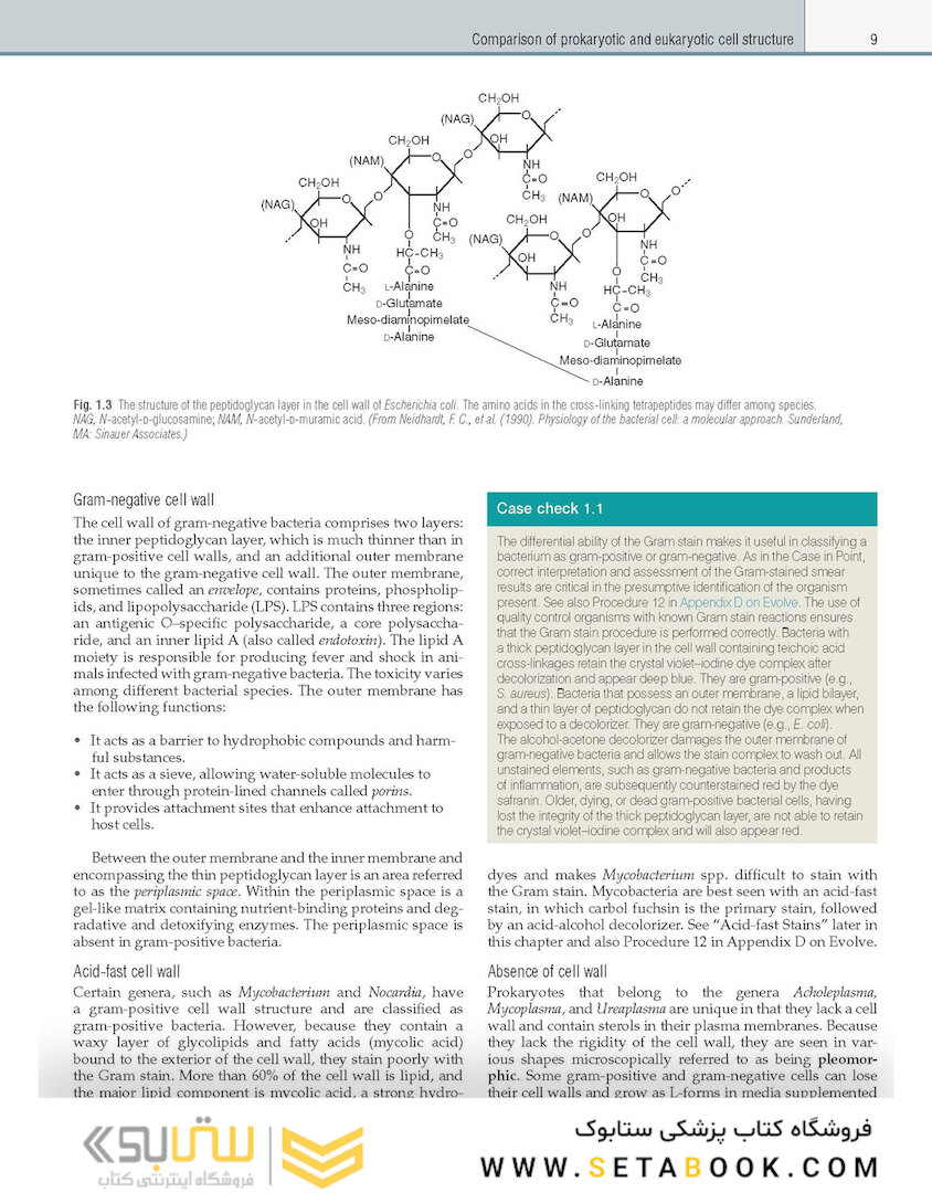 Textbook of Diagnostic Microbiology 7th Edition