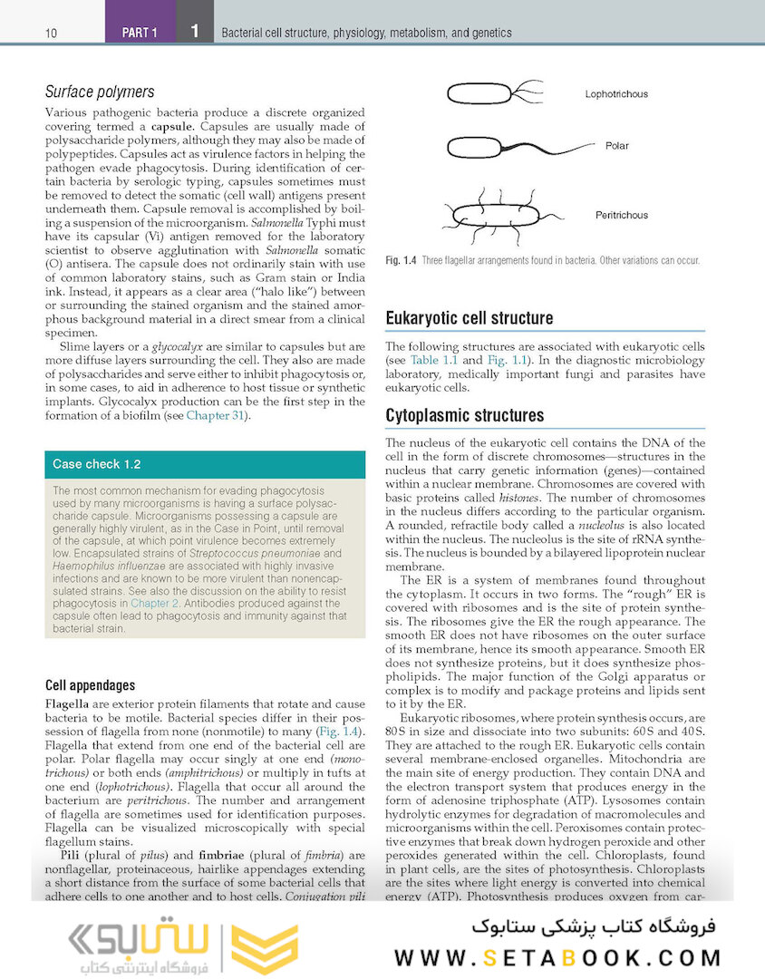Textbook of Diagnostic Microbiology 7th Edition