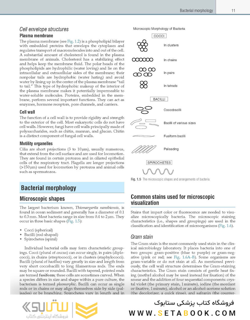 Textbook of Diagnostic Microbiology 7th Edition