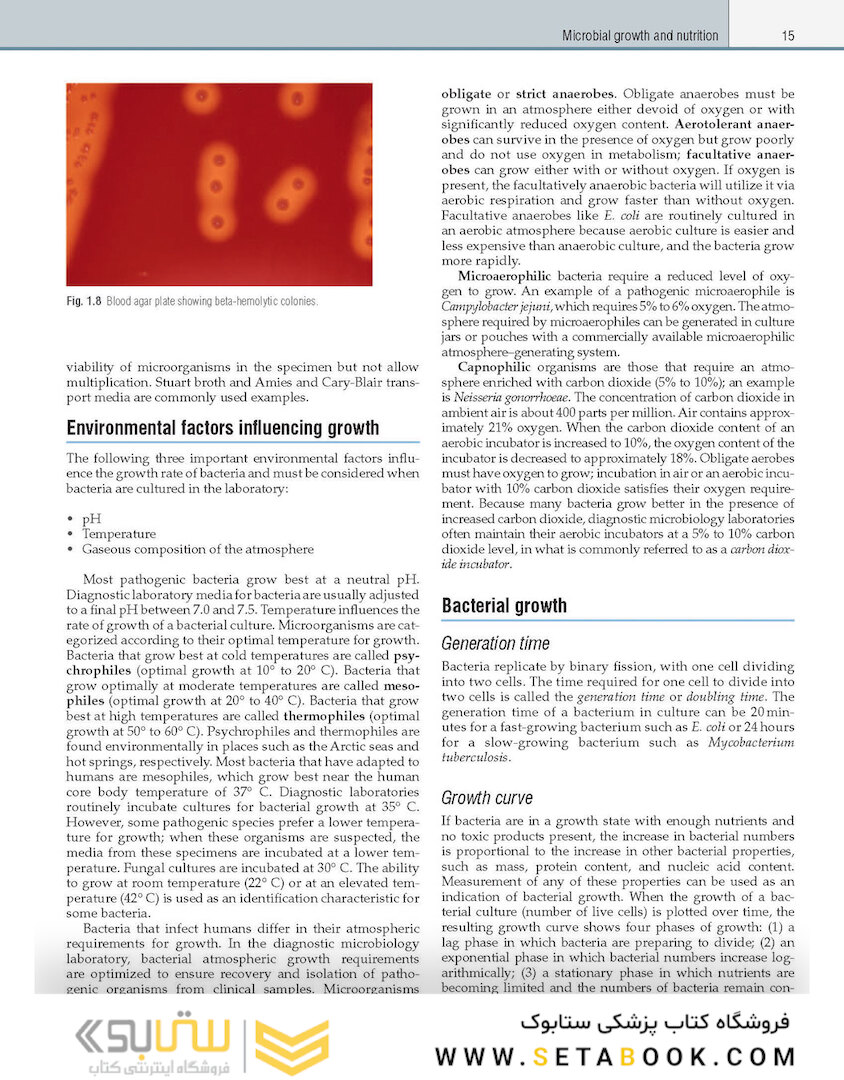 Textbook of Diagnostic Microbiology 7th Edition
