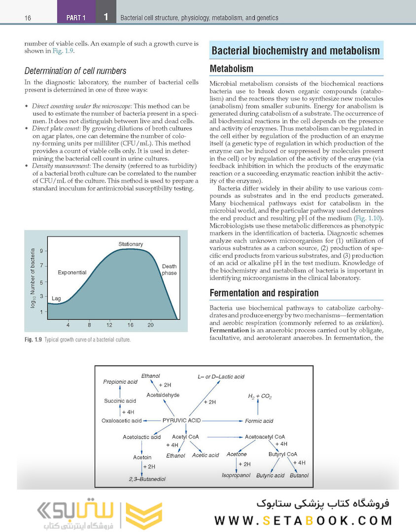 Textbook of Diagnostic Microbiology 7th Edition
