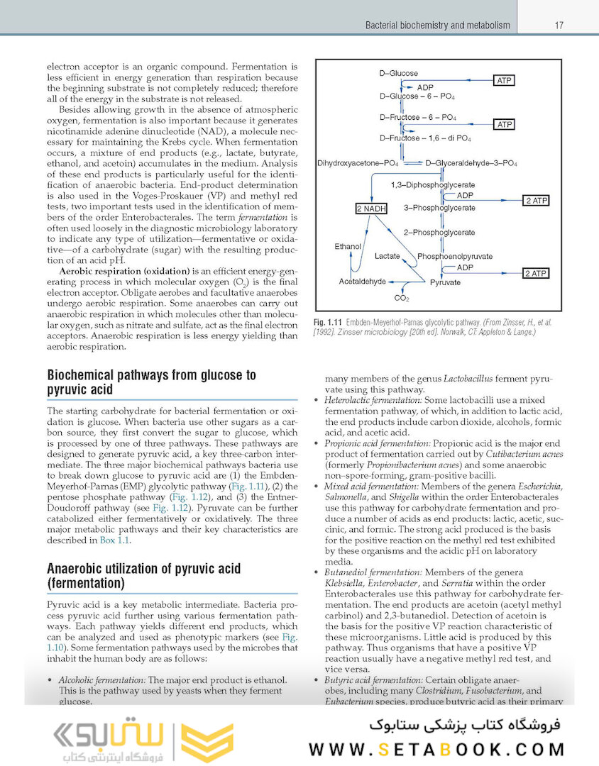 Textbook of Diagnostic Microbiology 7th Edition