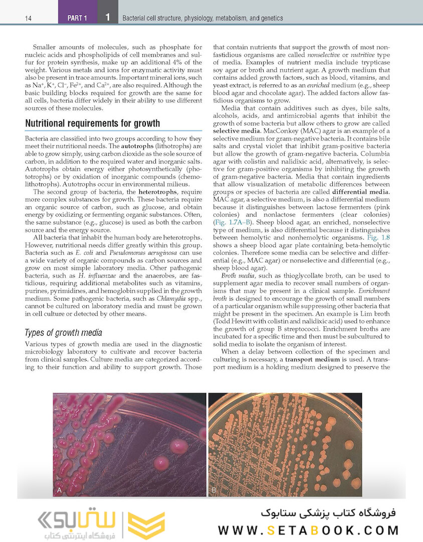 Textbook of Diagnostic Microbiology 7th Edition