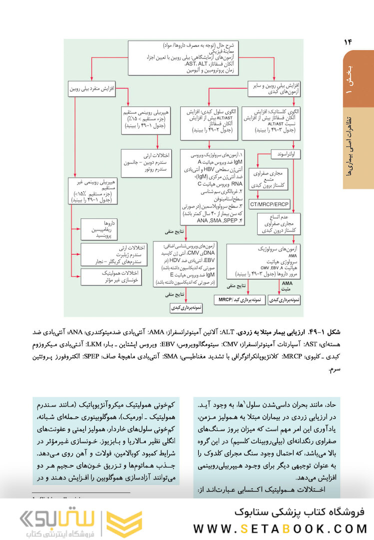 اصول طب داخلی هاریسون 2022 بیماری های کبد و مجاری صفراوی