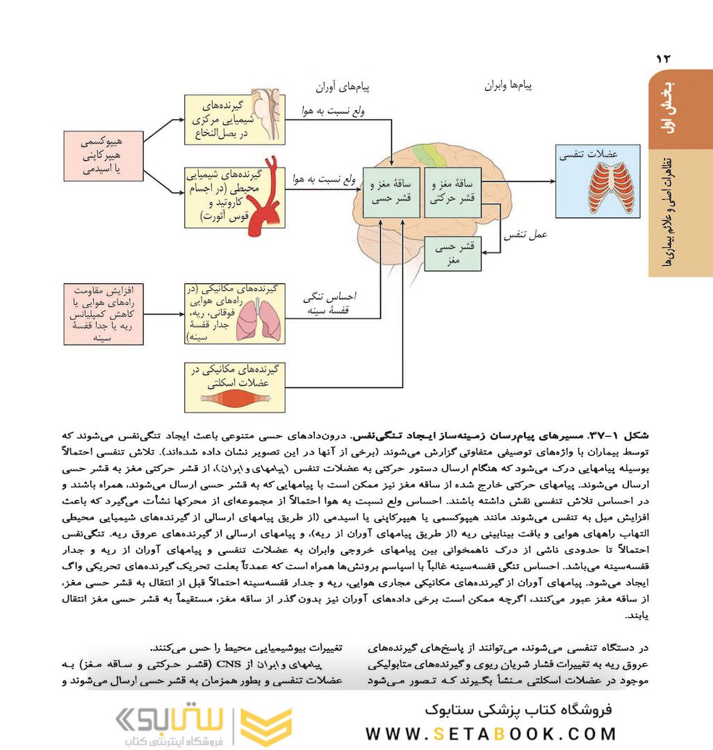 اصول طب داخلی هاریسون 2022 بیماری های دستگاه تنفس (همراه بااطلس رنگی)