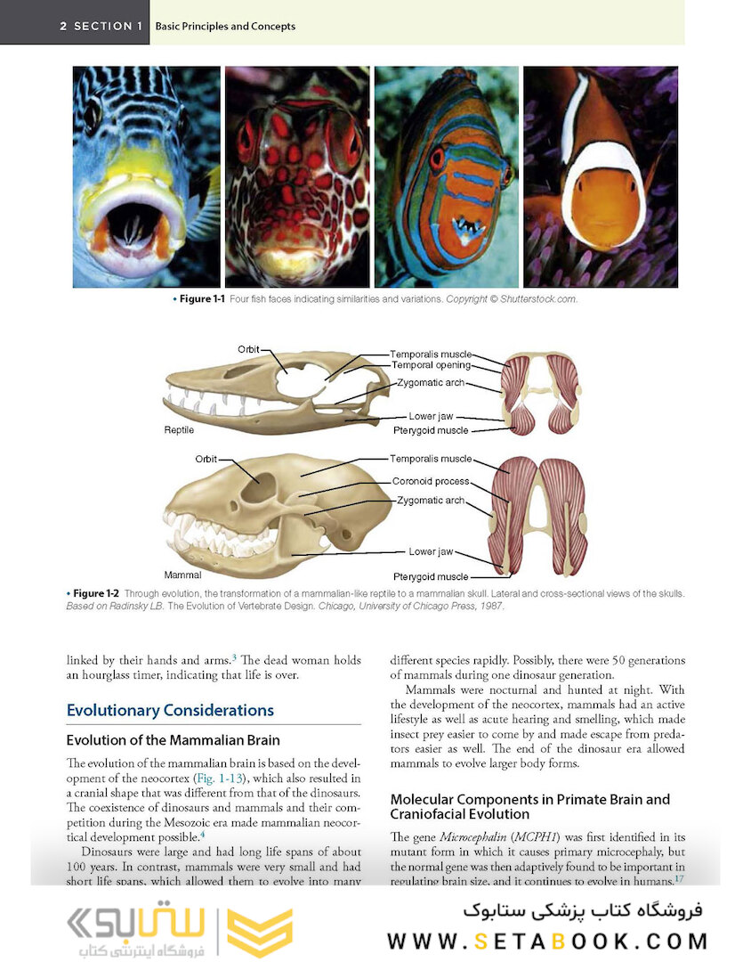 Orthognathic Surgery - 2 Volume Set: Principles and Practice 2nd Edition