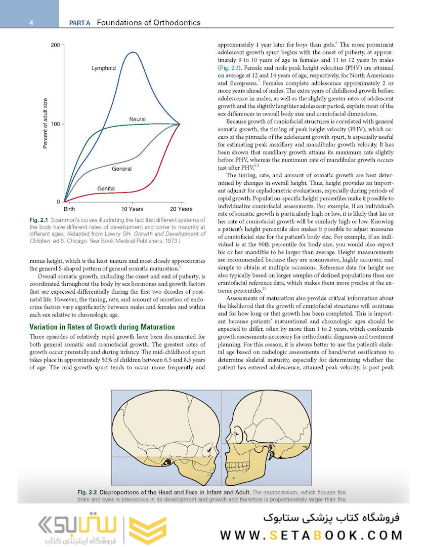 Orthodontics : Current Principles and Techniques
