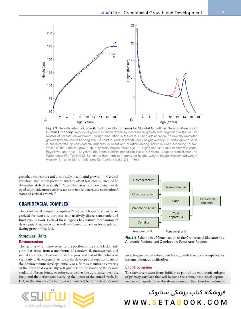 Orthodontics : Current Principles and Techniques