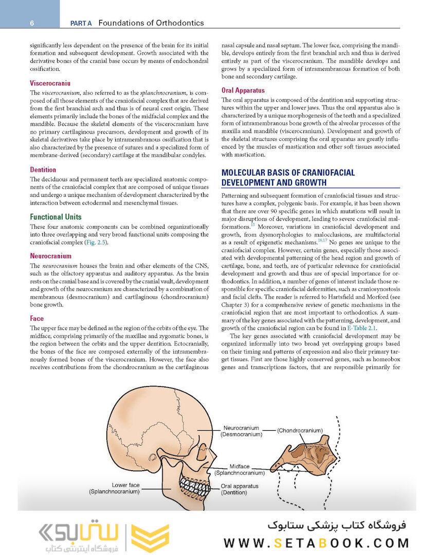 Orthodontics : Current Principles and Techniques