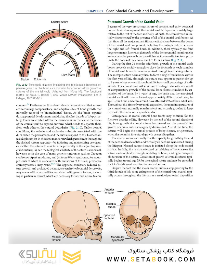 Orthodontics : Current Principles and Techniques