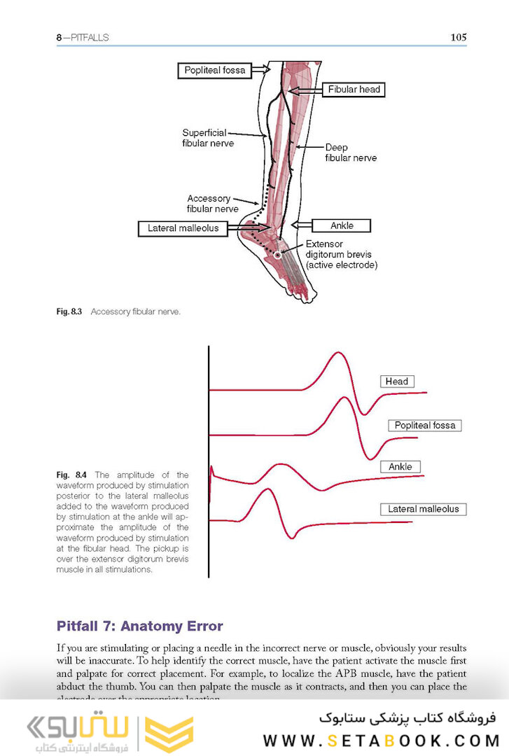 Easy EMG : A Guide to Performing Nerve Conduction Studies and Electromyography