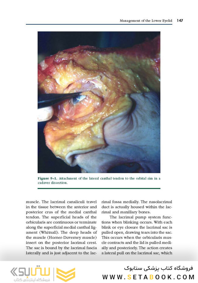 Facial Paralysis A Comprehensive Rehabilitative Approach