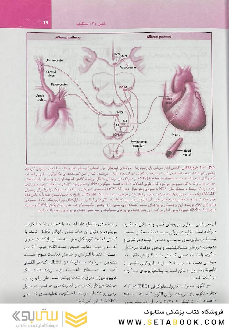 ترجمه کامل هاریسون 2022 بیماری  های قلب
