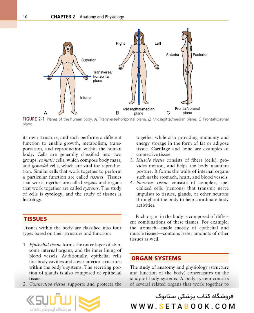 Procedures in Phlebotomy, 4th Edition