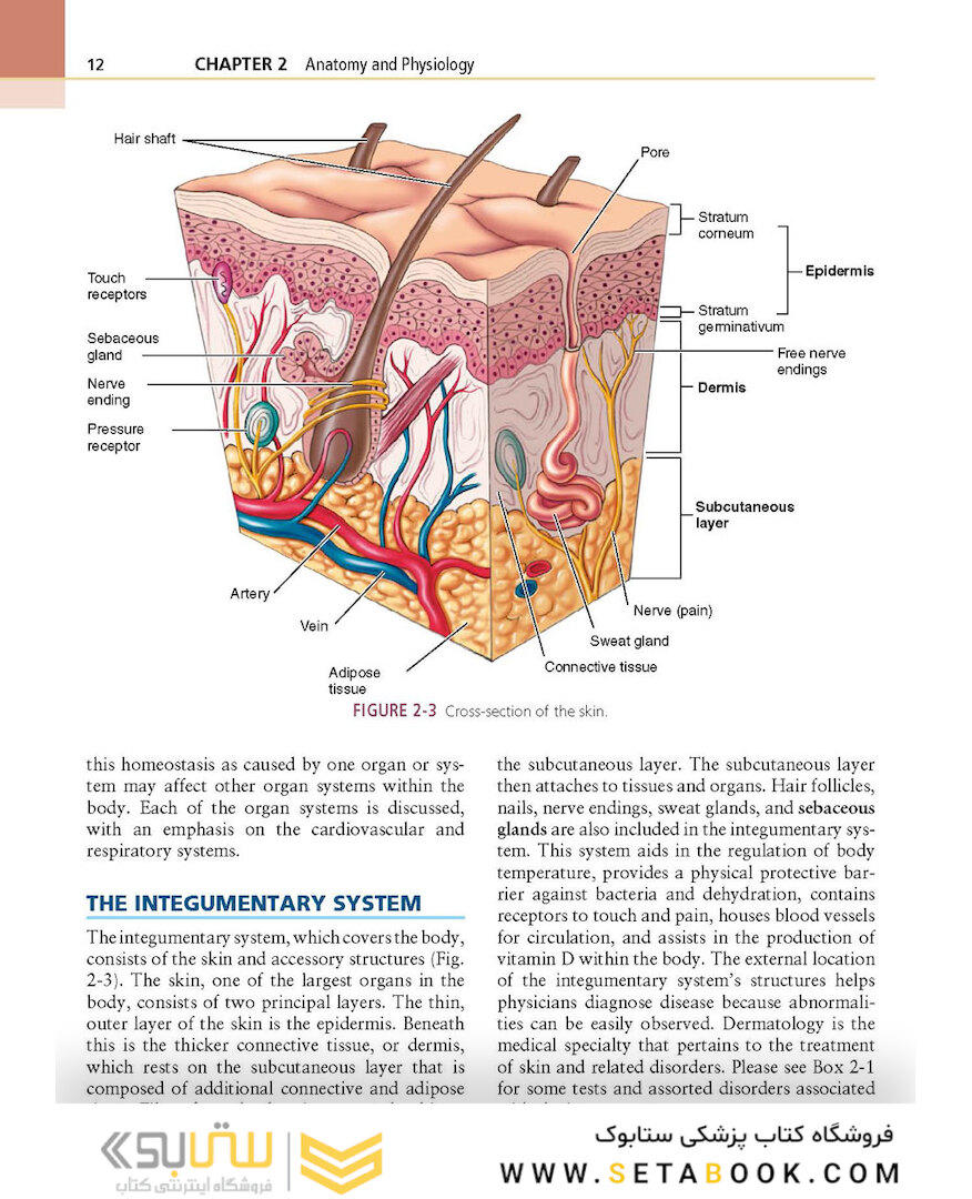 Procedures in Phlebotomy, 4th Edition