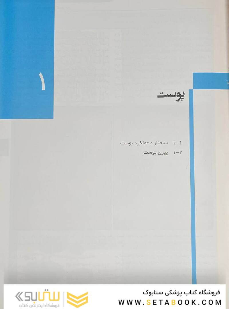 راهنمای مصور تزریق فیلر