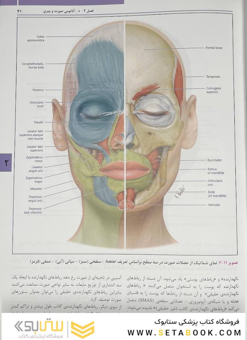 راهنمای مصور تزریق فیلر
