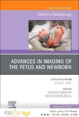 Advances in Neuroimaging of the Fetus and Newborn, An Issue of Clinics in Perinatology