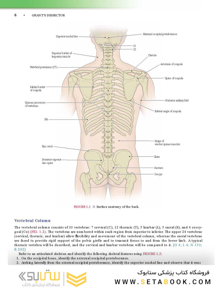 Grant’s Dissector, 16th edition2016