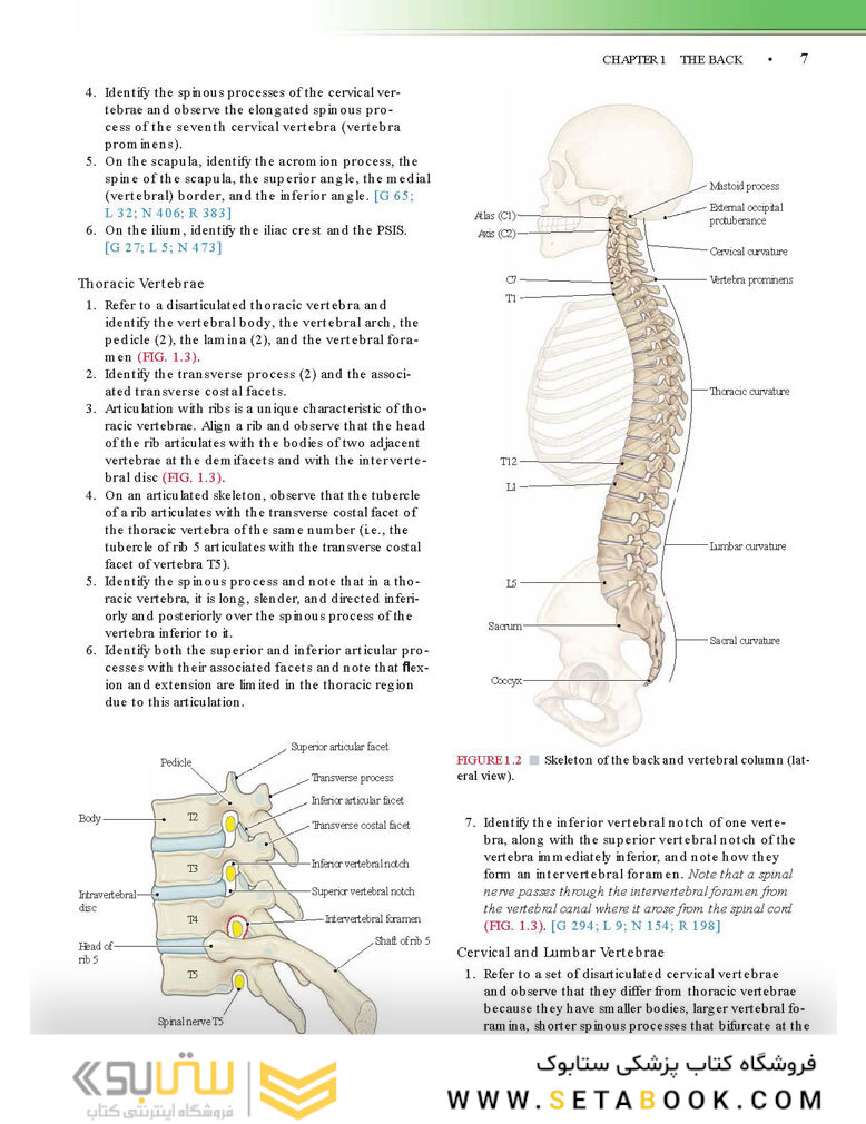Grant’s Dissector, 16th edition2016