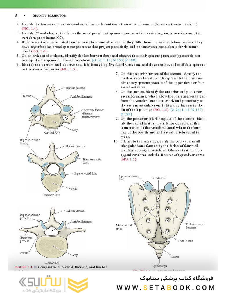Grant’s Dissector, 16th edition2016