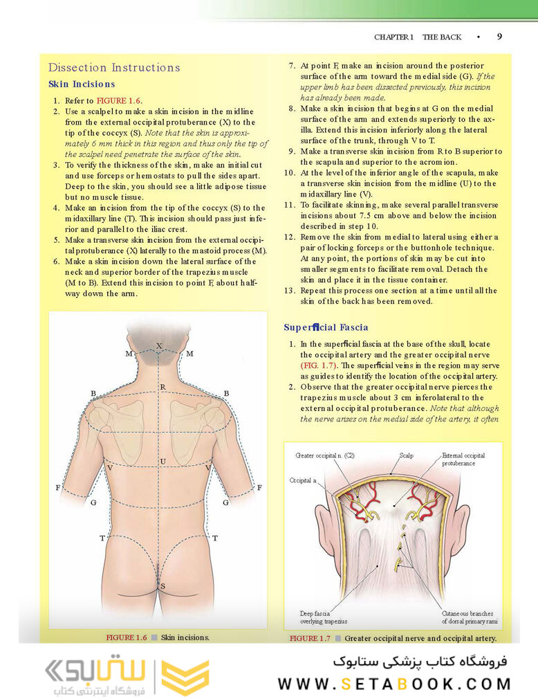 Grant’s Dissector, 16th edition2016