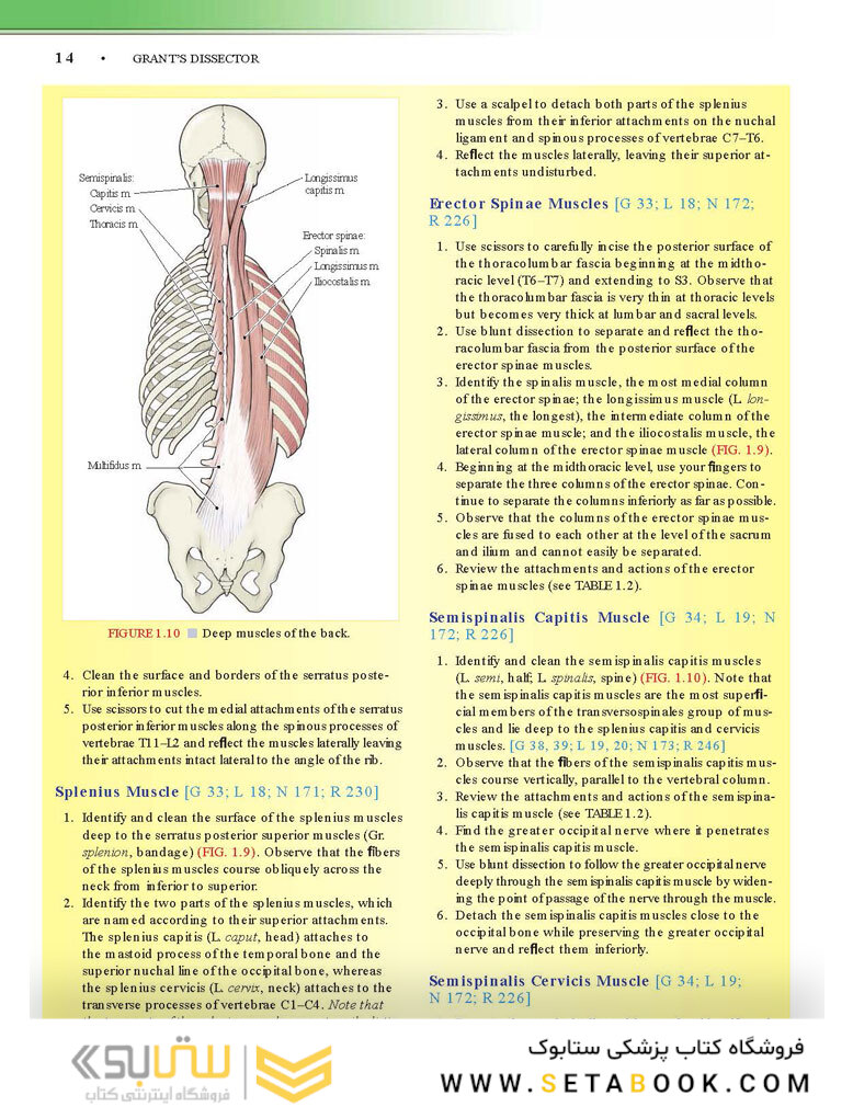 Grant’s Dissector, 16th edition2016