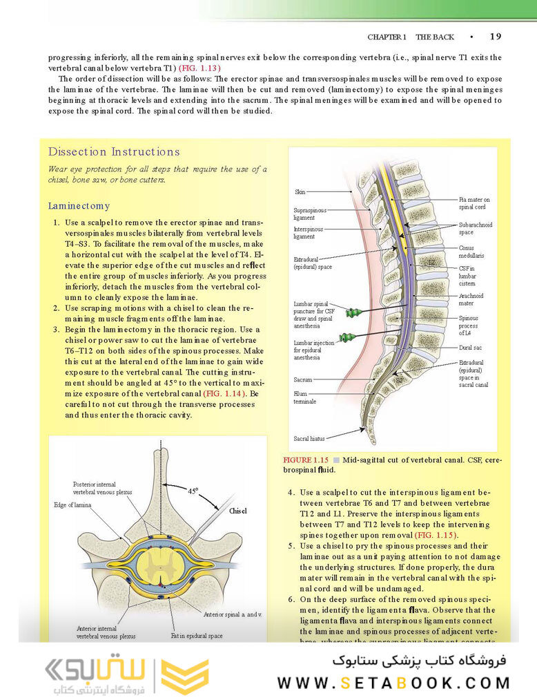 Grant’s Dissector, 16th edition2016
