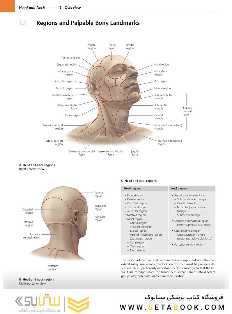 2020 Head, Neck, and Neuroanatomy (THIEME Atlas of Anatomy) 3rd Edition