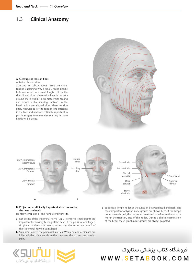 2020 Head, Neck, and Neuroanatomy (THIEME Atlas of Anatomy) 3rd Edition