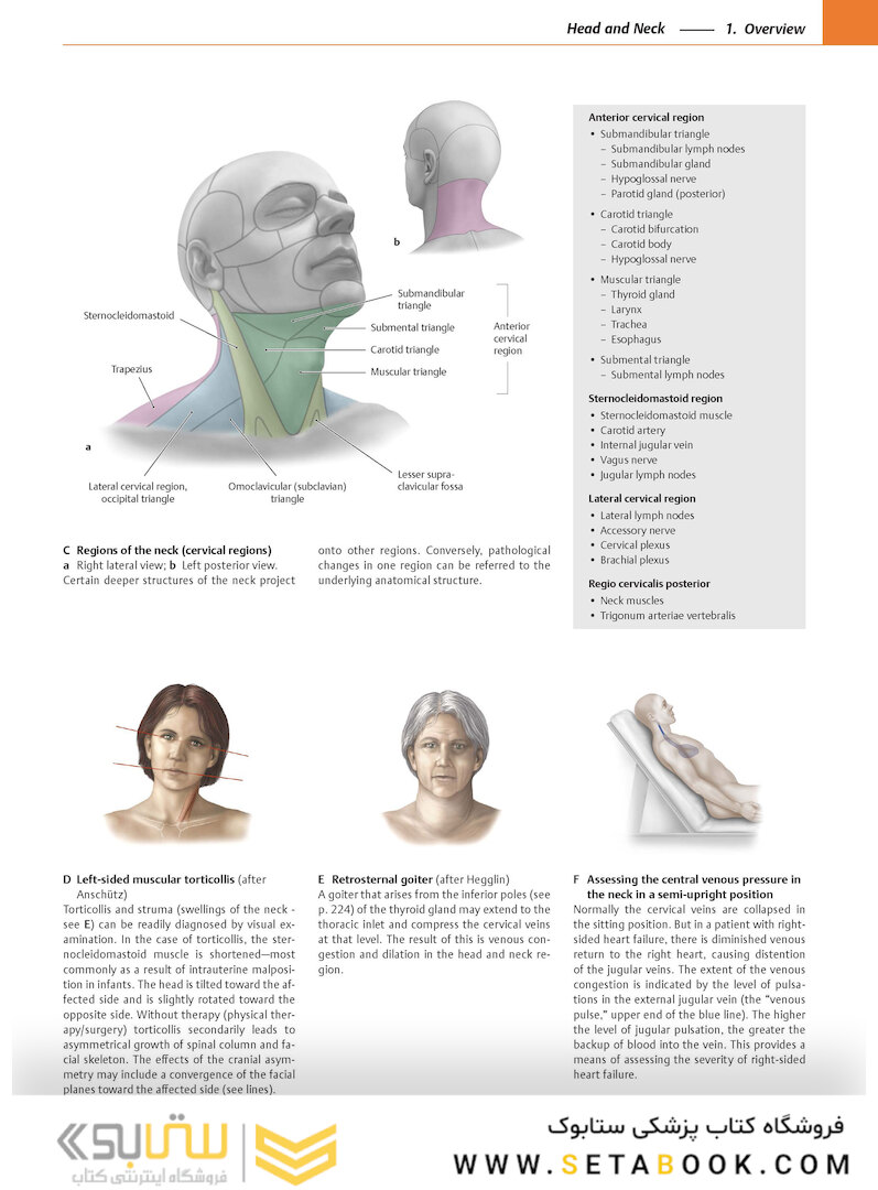 2020 Head, Neck, and Neuroanatomy (THIEME Atlas of Anatomy) 3rd Edition