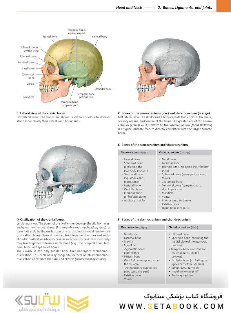 2020 Head, Neck, and Neuroanatomy (THIEME Atlas of Anatomy) 3rd Edition